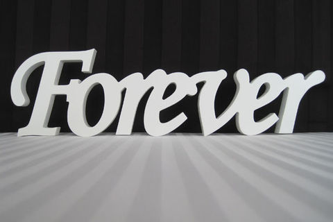 THE DAY FOREVER PAUSED 