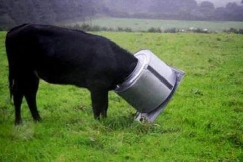 I am totally stuck!!