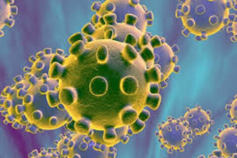 Outbreak