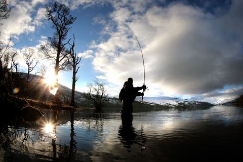 The Fisherman