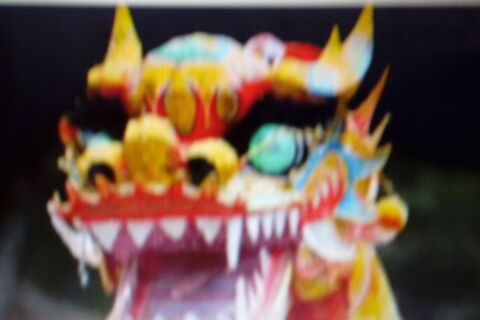 The Chinese Dragon