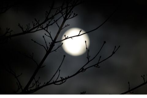 Into The Darkness 