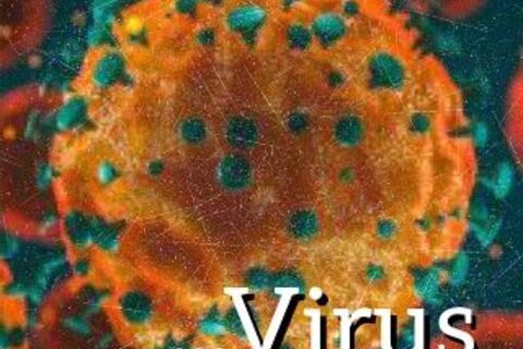 ...Virus 