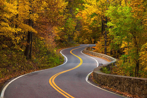 The Road