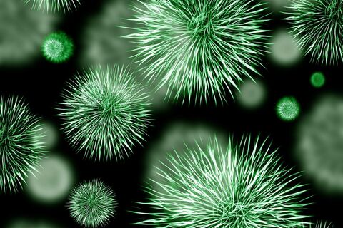 VIRUS