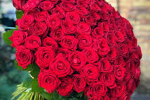 Fall In Love 