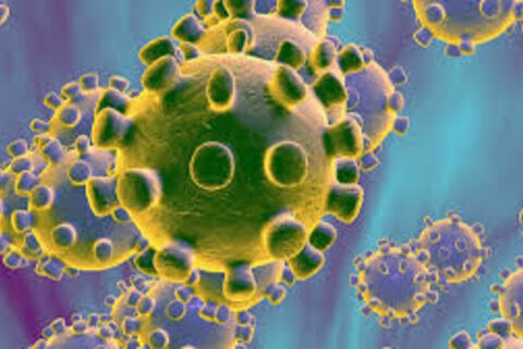 24/7 round the clock coronavirus (COVID-19) coverage