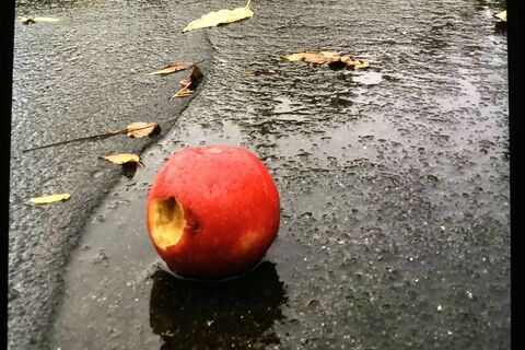 Fruitful 