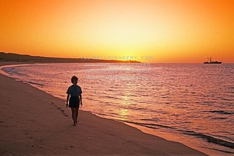 A stranger on the shore