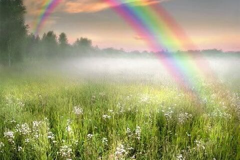 Colours of the rainbow?