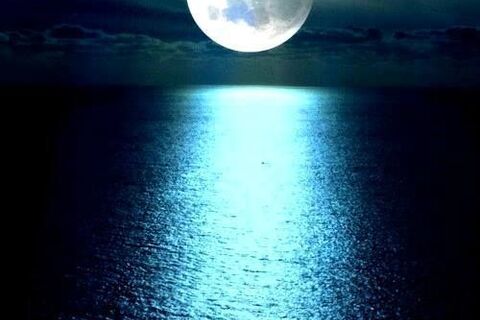 SEA DANCE ( for Poetess Darkly challenge)
