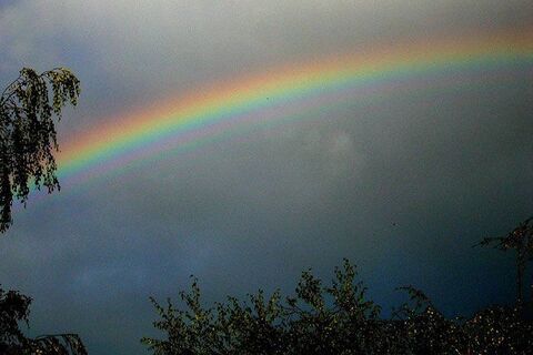 Rainbow