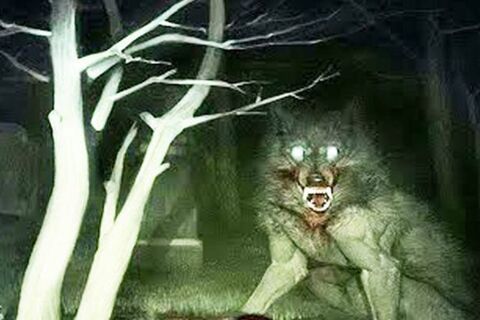 The Lycanthrope. *Poetess challenge