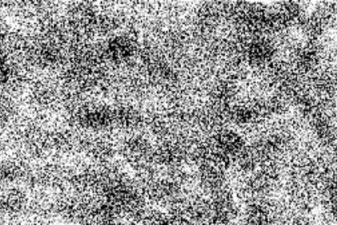 Human 