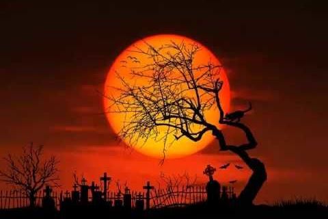 twilight