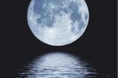 Under The Moonlight  