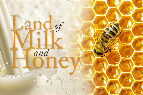 The lands of milk and honey
