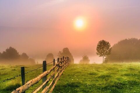 My Countryside tread