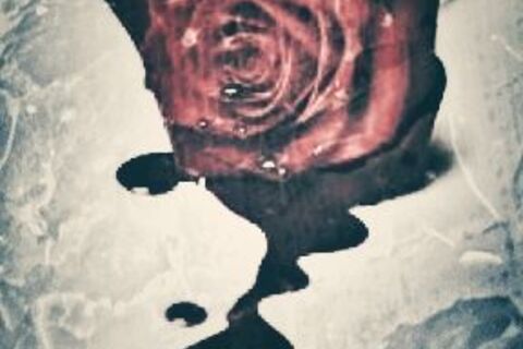 How Can a Love? 