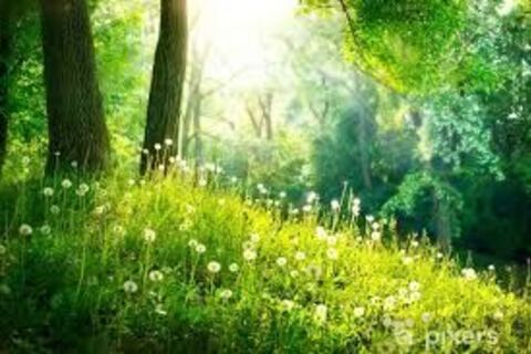 To Spring