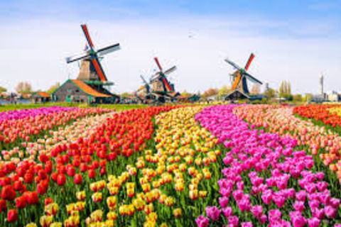 In old Amsterdam