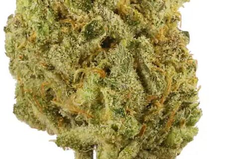Lemon Haze