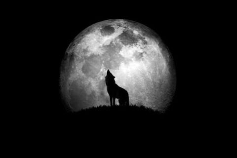 Eclipse