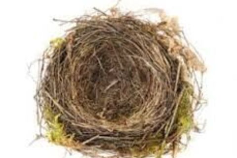 Empty nest syndrome, plus lapsed romances revisited...
