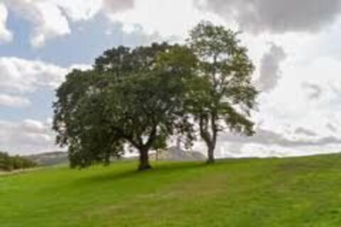 Where once verdant rolling highlands...
