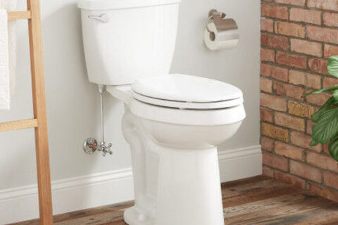 Defecation clogged toilet bowl courtesy metamucil..