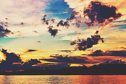 Summer Sky