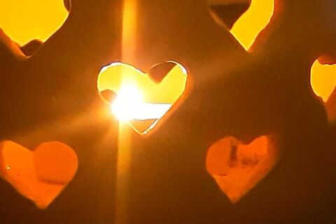 The light