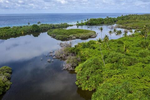 The world’s wonderful wetlands?