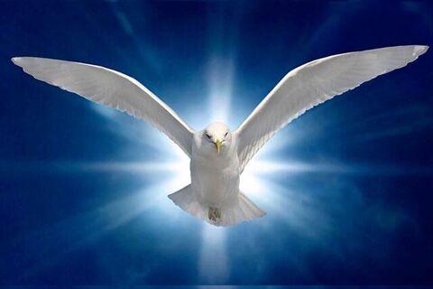 HOLY SPIRIT