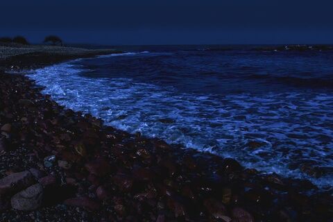 The Pitch-Dark Night