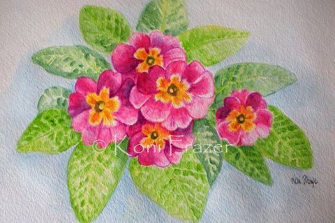 The Primrose picture