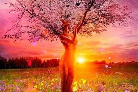 Magical and mystique