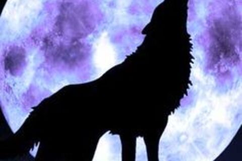 When I was Alpha...