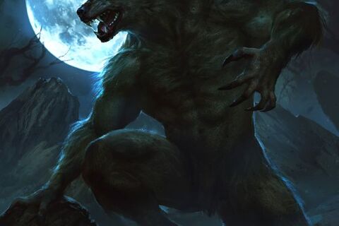 The Werewolf 