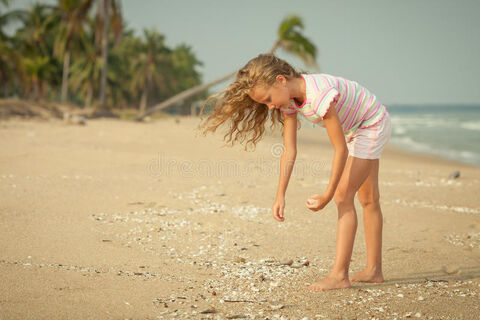 Susies shells