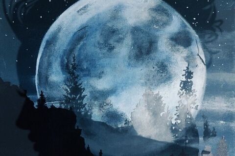 Under The Moonlight