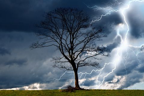 WIND RAIN STORM