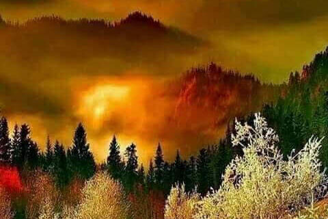 How is the beauty