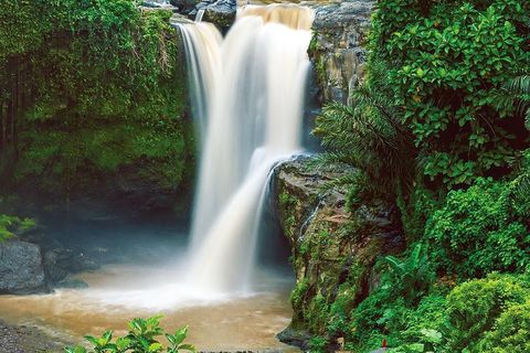 GOD'S HANDIWORK