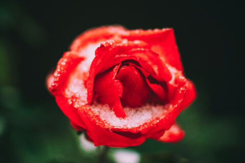 Va-va-voom ❤️