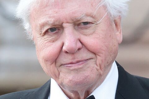 Sir David Attenborough ?