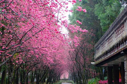 February In Japan
