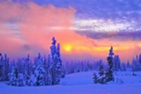 Winter feelings