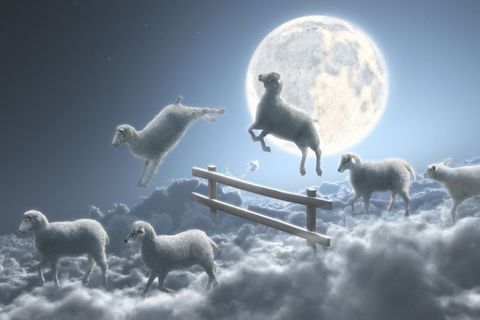 My leaping sheep 🐏