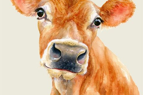 SLAUGHTERHOUSES + SUNDAY DINNERS